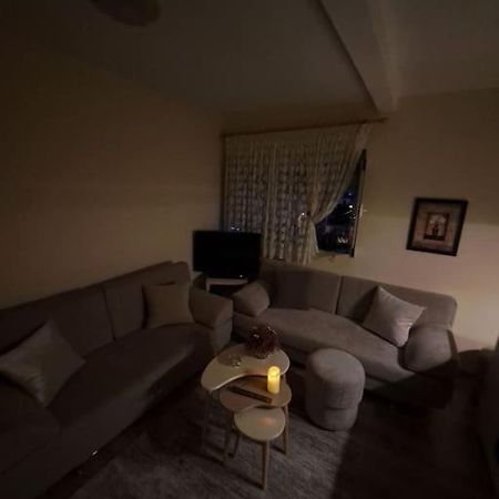Quiet, Cozy, Luminous Apartment Тирана Екстер'єр фото