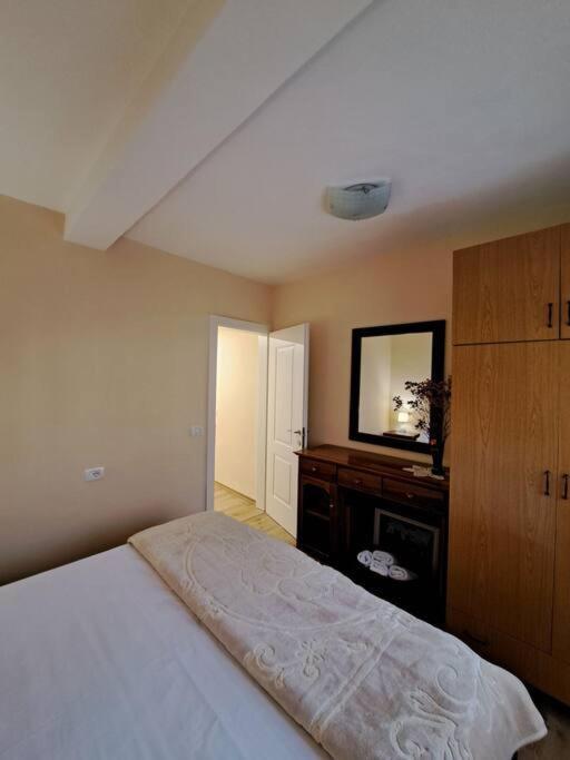 Quiet, Cozy, Luminous Apartment Тирана Екстер'єр фото