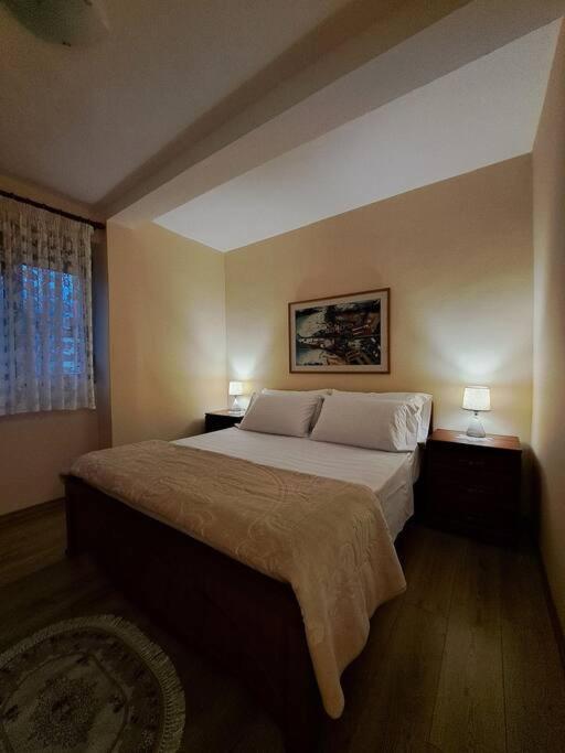 Quiet, Cozy, Luminous Apartment Тирана Екстер'єр фото