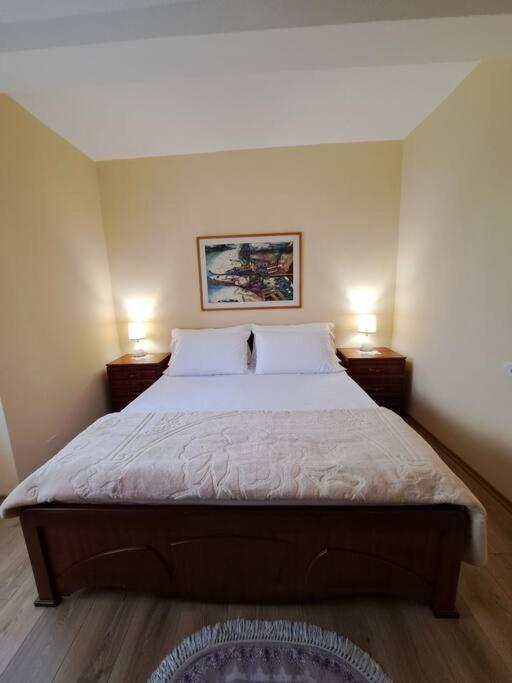 Quiet, Cozy, Luminous Apartment Тирана Екстер'єр фото