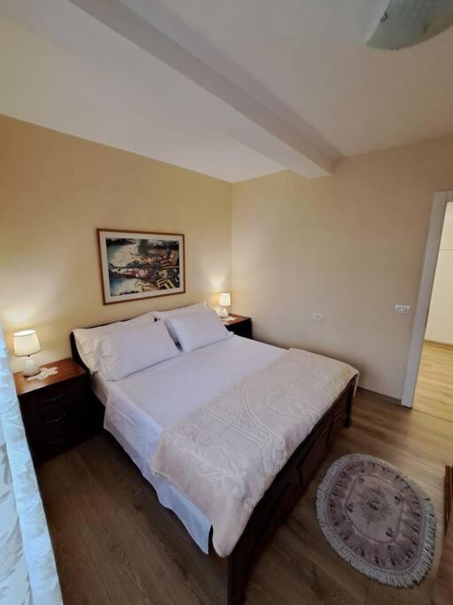 Quiet, Cozy, Luminous Apartment Тирана Екстер'єр фото