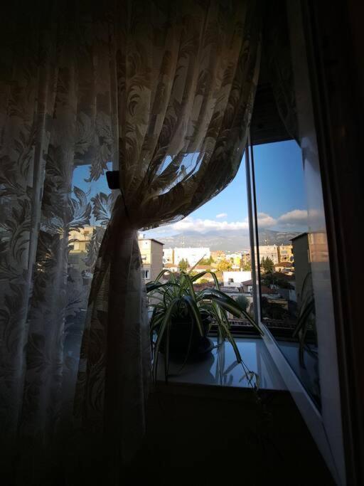 Quiet, Cozy, Luminous Apartment Тирана Екстер'єр фото