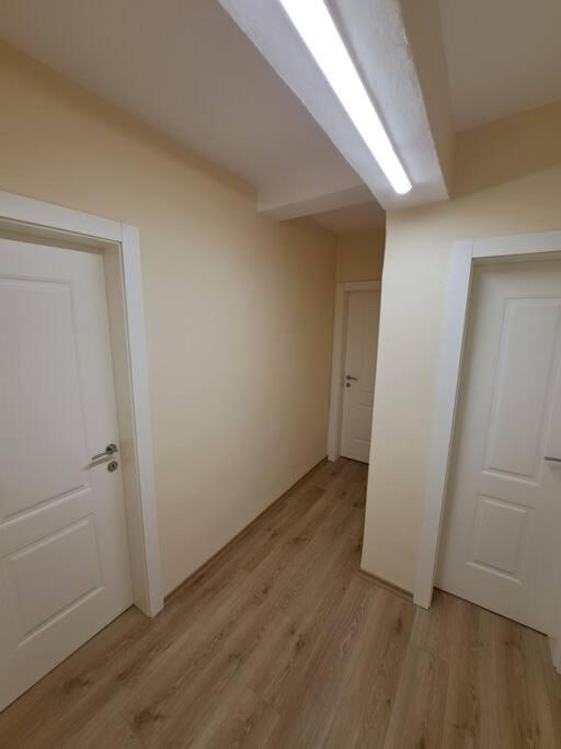 Quiet, Cozy, Luminous Apartment Тирана Екстер'єр фото