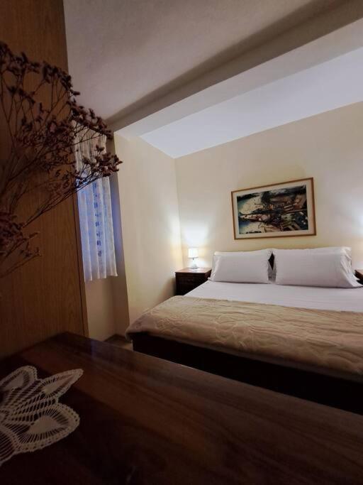 Quiet, Cozy, Luminous Apartment Тирана Екстер'єр фото